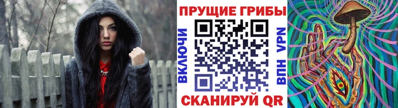 Галлюциногенные грибы GOLDEN TEACHER  Купить где  Казань 